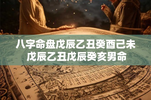 八字命盘戊辰乙丑癸酉己未 戊辰乙丑戊辰癸亥男命 八字命盘戊辰乙丑癸酉己未 戊辰乙丑戊辰癸亥男命