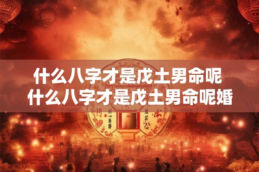 什么八字才是戊土男命呢 什么八字才是戊土男命呢婚姻