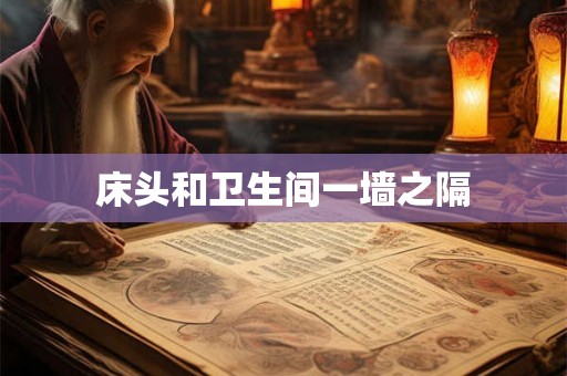 床头和卫生间一墙之隔 床头和卫生间一墙之隔