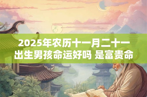 2025年农历十一月二十一出生男孩命运好吗 是富贵命吗 2025年农历十一月二十一出生男孩命运好吗 是富贵命吗