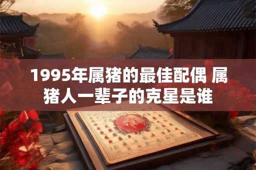 1995年属猪的最佳配偶 属猪人一辈子的克星是谁