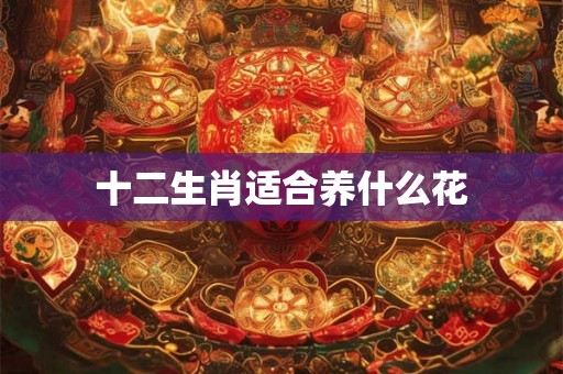 十二生肖适合养什么花