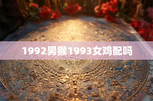 1992男猴1993女鸡配吗