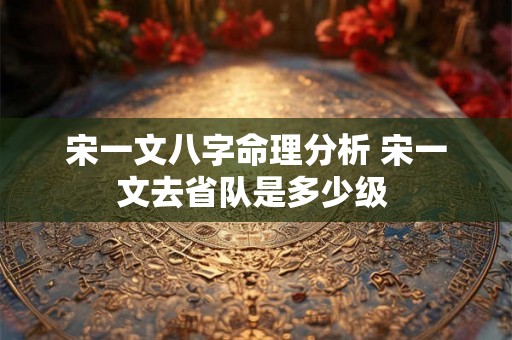 宋一文八字命理分析 宋一文去省队是多少级 宋一文八字命理分析 宋一文去省队是多少级