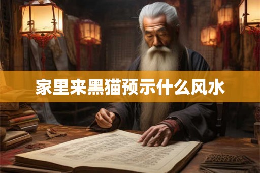 家里来黑猫预示什么风水