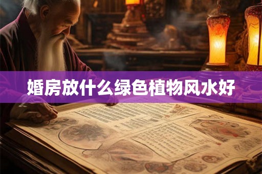 婚房放什么绿色植物风水好