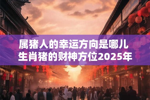 属猪人的幸运方向是哪儿 生肖猪的财神方位2025年查询 属猪人的幸运方向是哪儿 生肖猪的财神方位2025年查询
