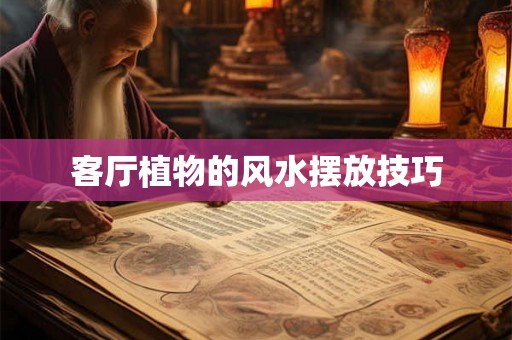 客厅植物的风水摆放技巧 客厅植物的风水摆放技巧