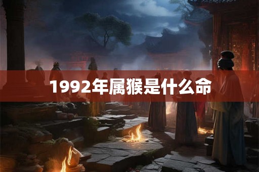 1992年属猴是什么命