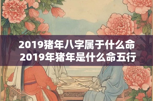 2019猪年八字属于什么命 2019年猪年是什么命五行属什么 2019猪年八字属于什么命 2019年猪年是什么命五行属什么