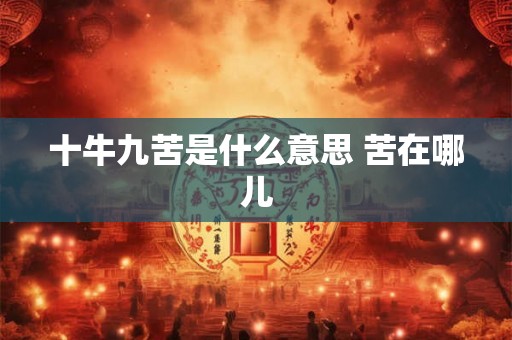 十牛九苦是什么意思 苦在哪儿 十牛九苦是什么意思 苦在哪儿