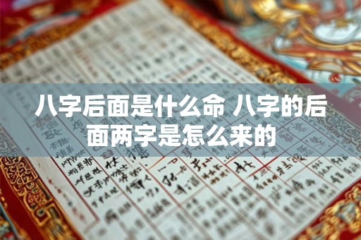 八字后面是什么命 八字的后面两字是怎么来的 八字后面是什么命 八字的后面两字是怎么来的