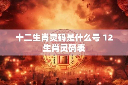 十二生肖灵码是什么号 12生肖灵码表