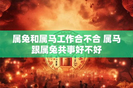 属兔和属马工作合不合 属马跟属兔共事好不好 属兔和属马工作合不合 属马跟属兔共事好不好