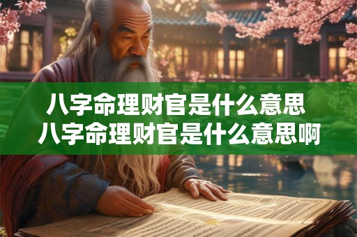 八字命理财官是什么意思 八字命理财官是什么意思啊 八字命理财官是什么意思 八字命理财官是什么意思啊