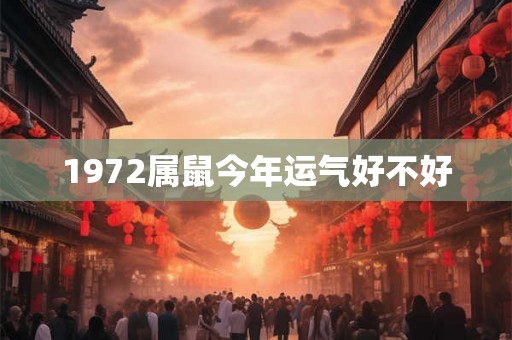 1972属鼠今年运气好不好 1972属鼠今年运气好不好