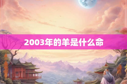 2003年的羊是什么命