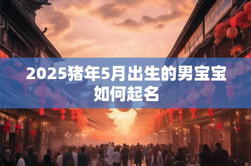 2025猪年5月出生的男宝宝如何起名 2025猪年5月出生的男宝宝如何起名