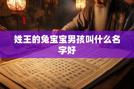 姓王的兔宝宝男孩叫什么名字好 姓王的兔宝宝男孩叫什么名字好