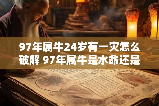 97年属牛24岁有一灾怎么破解 97年属牛是水命还是火命