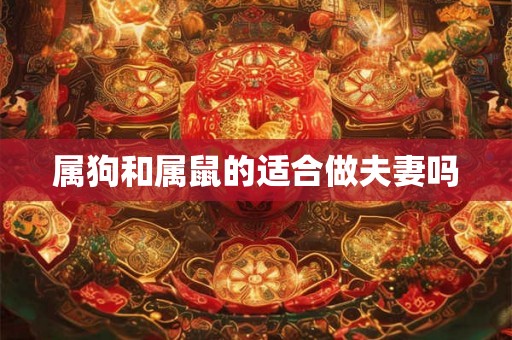 属狗和属鼠的适合做夫妻吗 属狗和属鼠的适合做夫妻吗