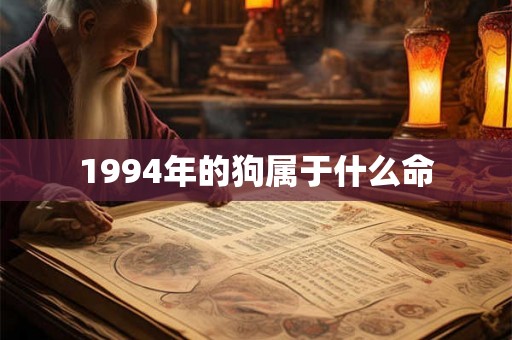1994年的狗属于什么命 1994年的狗属于什么命