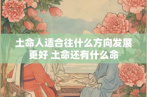 土命人适合往什么方向发展更好 土命还有什么命 土命人适合往什么方向发展更好 土命还有什么命