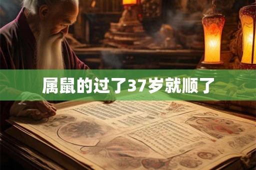 属鼠的过了37岁就顺了 属鼠的过了37岁就顺了