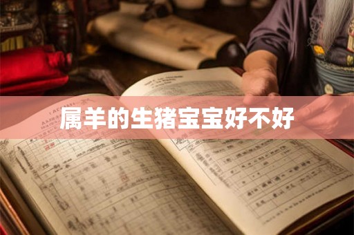 属羊的生猪宝宝好不好 属羊的生猪宝宝好不好