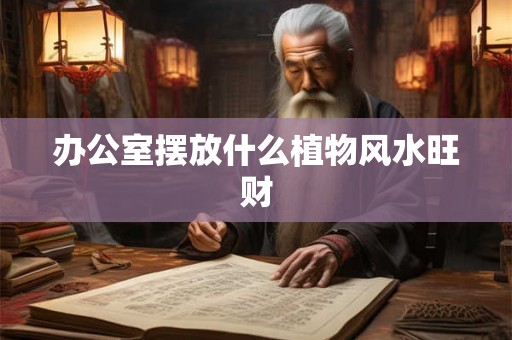 办公室摆放什么植物风水旺财 办公室摆放什么植物风水旺财