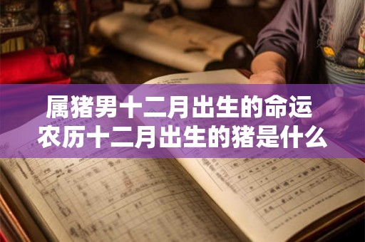 属猪男十二月出生的命运 农历十二月出生的猪是什么命 属猪男十二月出生的命运 农历十二月出生的猪是什么命