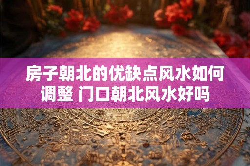 房子朝北的优缺点风水如何调整 门口朝北风水好吗