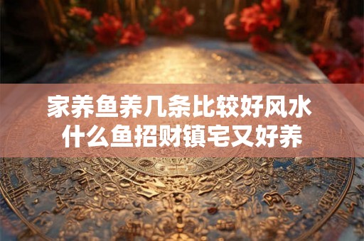 家养鱼养几条比较好风水 什么鱼招财镇宅又好养