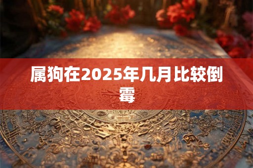 属狗在2025年几月比较倒霉