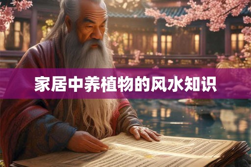 家居中养植物的风水知识 家居中养植物的风水知识