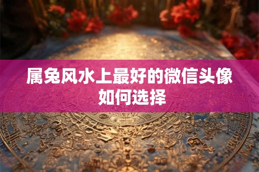 属兔风水上最好的微信头像 如何选择 属兔风水上最好的微信头像 如何选择