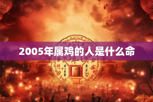 2005年属鸡的人是什么命 2005年属鸡的人是什么命