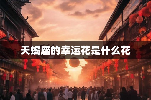 天蝎座的幸运花是什么花