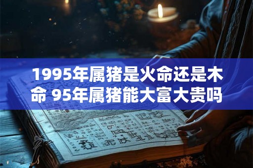 1995年属猪是火命还是木命 95年属猪能大富大贵吗