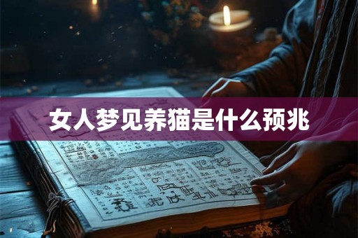女人梦见养猫是什么预兆 女人梦见养猫是什么预兆