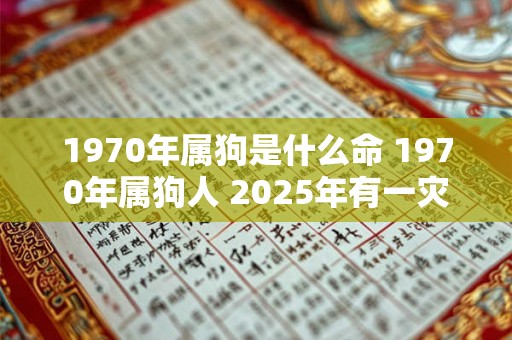 1970年属狗是什么命 1970年属狗人 2025年有一灾 1970年属狗是什么命 1970年属狗人 2025年有一灾