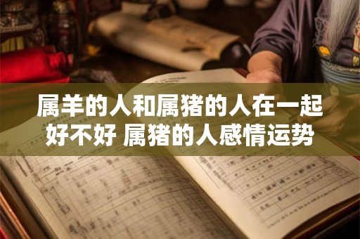属羊的人和属猪的人在一起好不好 属猪的人感情运势如何 属羊的人和属猪的人在一起好不好 属猪的人感情运势如何