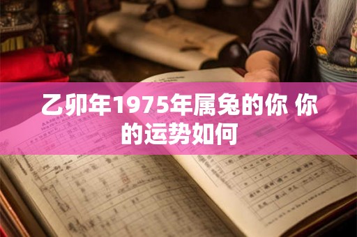 乙卯年1975年属兔的你 你的运势如何 乙卯年1975年属兔的你 你的运势如何