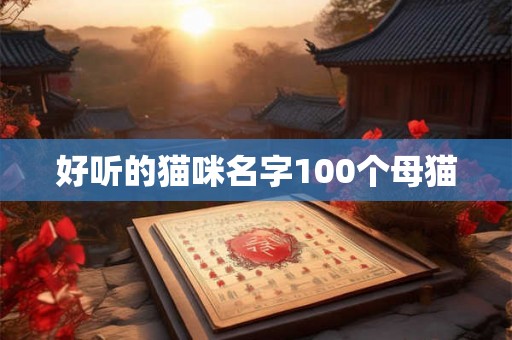 好听的猫咪名字100个母猫 好听的猫咪名字100个母猫