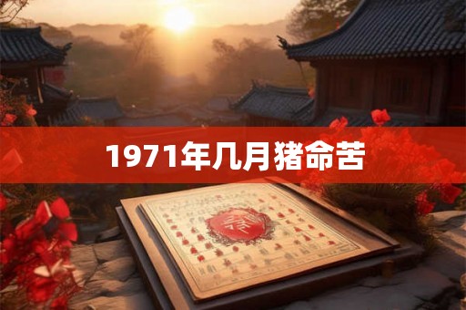 1971年几月猪命苦 1971年几月猪命苦