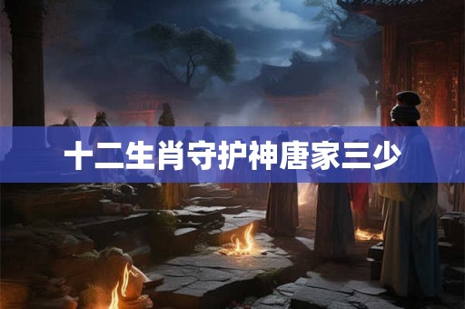 十二生肖守护神唐家三少 十二生肖守护神唐家三少