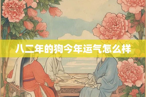八二年的狗今年运气怎么样 八二年的狗今年运气怎么样