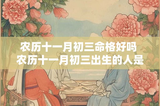 农历十一月初三命格好吗 农历十一月初三出生的人是什么星座