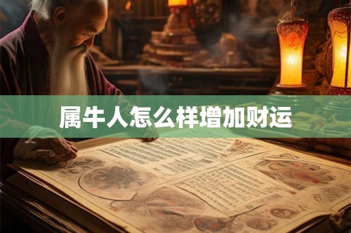 属牛人怎么样增加财运 属牛人怎么样增加财运