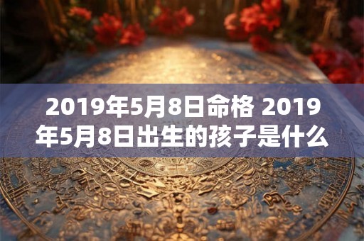 2019年5月8日命格 2019年5月8日出生的孩子是什么命 2019年5月8日命格 2019年5月8日出生的孩子是什么命